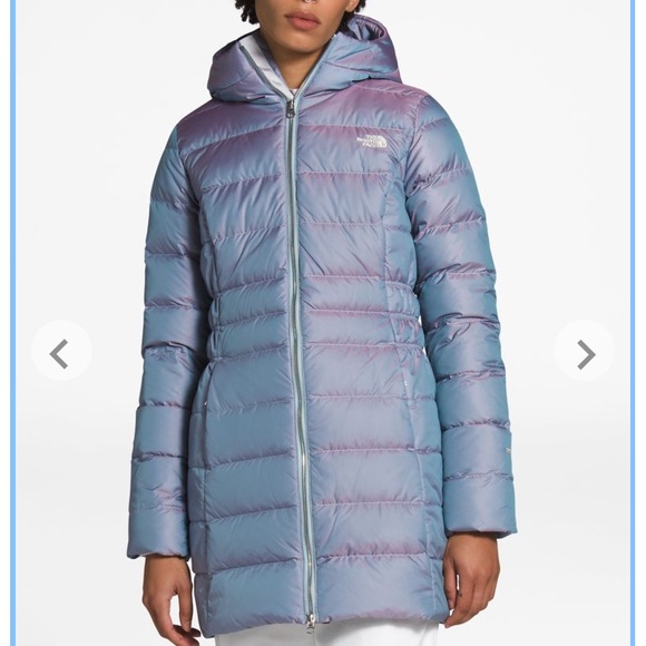 iridescent north face